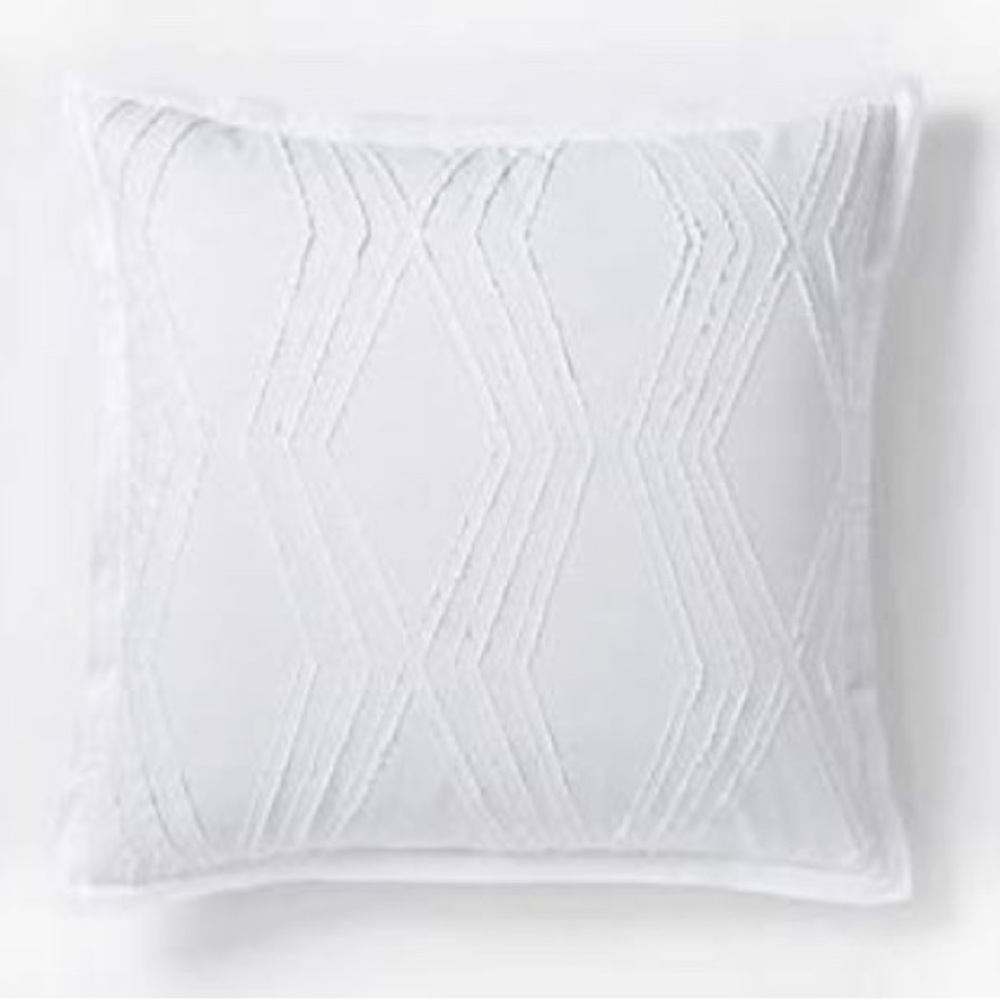 West Elm Roar & Rabbit Zig Zag Texture Euro Shams - Set of 2